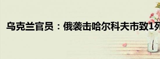 乌克兰官员：俄袭击哈尔科夫市致1死34伤