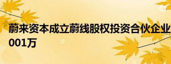 蔚来资本成立蔚线股权投资合伙企业 出资额8001万