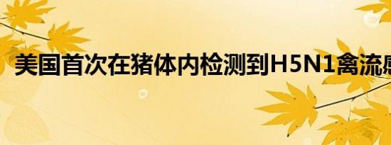 美国首次在猪体内检测到H5N1禽流感病毒