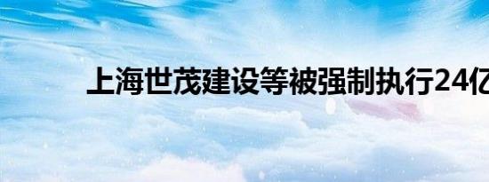 上海世茂建设等被强制执行24亿