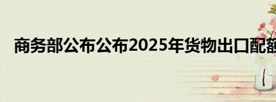 商务部公布公布2025年货物出口配额总量