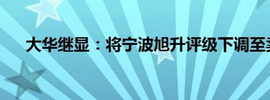 大华继显：将宁波旭升评级下调至卖出