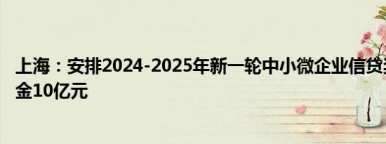 上海：安排2024-2025年新一轮中小微企业信贷奖补政策资金10亿元