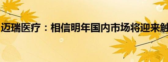 迈瑞医疗：相信明年国内市场将迎来触底反弹