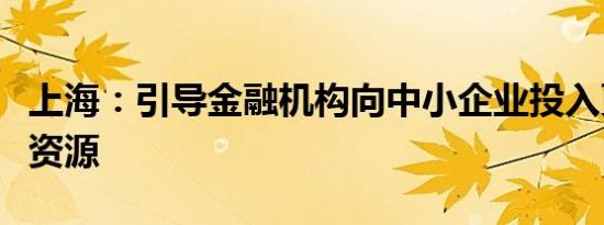 上海：引导金融机构向中小企业投入更多信贷资源