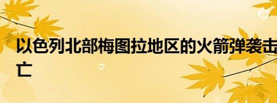 以色列北部梅图拉地区的火箭弹袭击致5人死亡