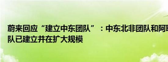 蔚来回应“建立中东团队”：中东北非团队和阿联酋当地团队已建立并在扩大规模