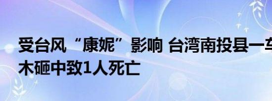 受台风“康妮”影响 台湾南投县一车辆被树木砸中致1人死亡