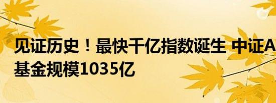 见证历史！最快千亿指数诞生 中证A500指数基金规模1035亿