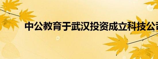 中公教育于武汉投资成立科技公司