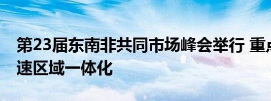 第23届东南非共同市场峰会举行 重点讨论加速区域一体化