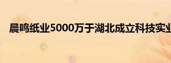 晨鸣纸业5000万于湖北成立科技实业公司