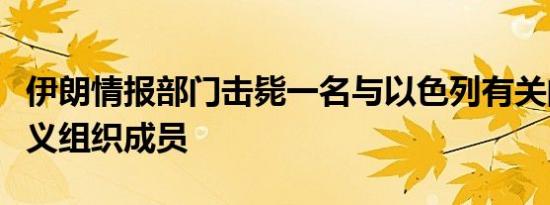 伊朗情报部门击毙一名与以色列有关的分离主义组织成员