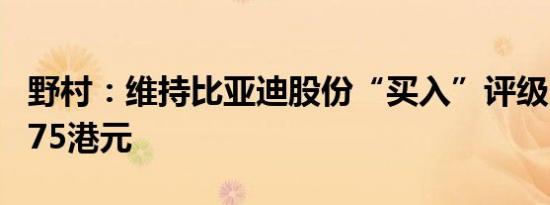 野村：维持比亚迪股份“买入”评级 目标价375港元