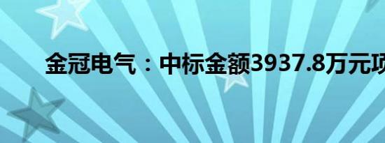 金冠电气：中标金额3937.8万元项目