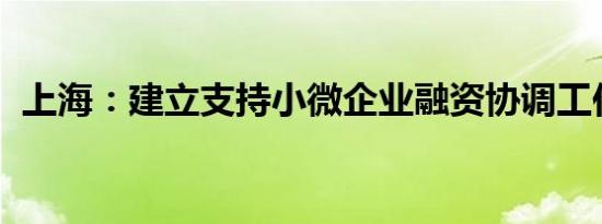 上海：建立支持小微企业融资协调工作机制