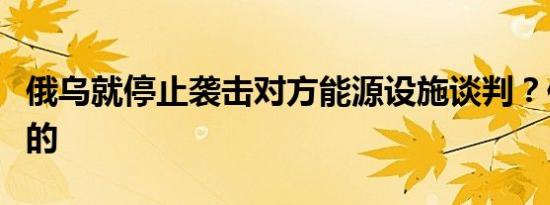 俄乌就停止袭击对方能源设施谈判？俄方：假的