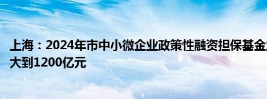 上海：2024年市中小微企业政策性融资担保基金业务规模扩大到1200亿元