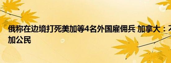 俄称在边境打死美加等4名外国雇佣兵 加拿大：不会证实有加公民