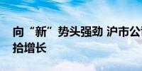 向“新”势头强劲 沪市公司前三季度业绩重拾增长