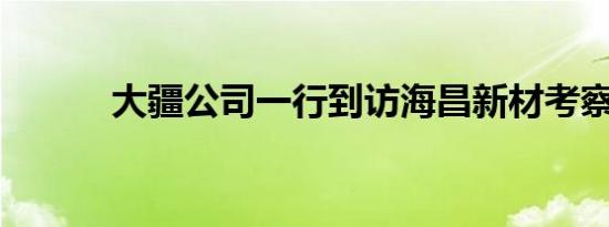 大疆公司一行到访海昌新材考察