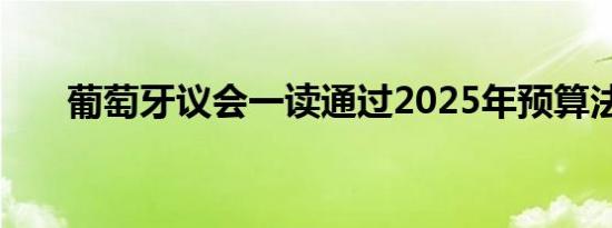 葡萄牙议会一读通过2025年预算法案