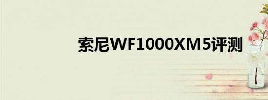 索尼WF1000XM5评测