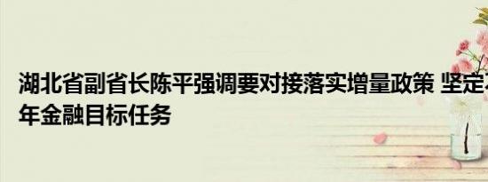 湖北省副省长陈平强调要对接落实增量政策 坚定不移完成全年金融目标任务