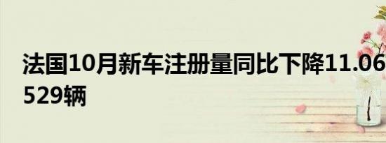 法国10月新车注册量同比下降11.06%至135529辆