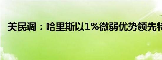 美民调：哈里斯以1%微弱优势领先特朗普