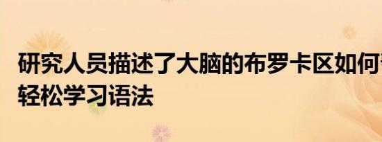 研究人员描述了大脑的布罗卡区如何帮助儿童轻松学习语法