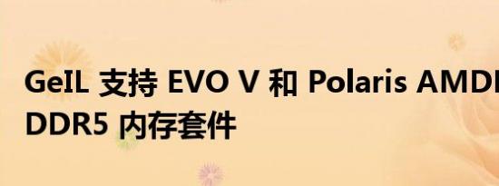 GeIL 支持 EVO V 和 Polaris AMDEXPO版 DDR5 内存套件