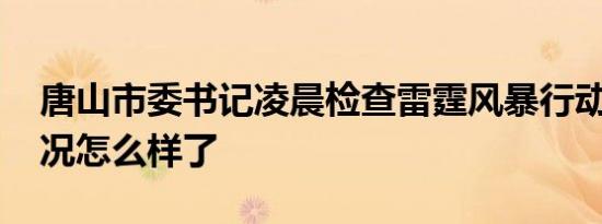 唐山市委书记凌晨检查雷霆风暴行动 现在情况怎么样了