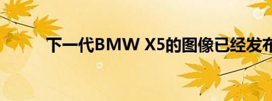 下一代BMW X5的图像已经发布