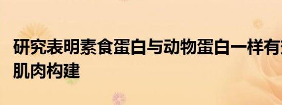 研究表明素食蛋白与动物蛋白一样有效地支持肌肉构建