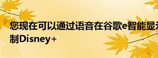 您现在可以通过语音在谷歌e智能显示屏上控制Disney+