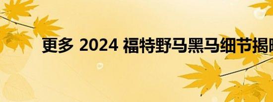 更多 2024 福特野马黑马细节揭晓