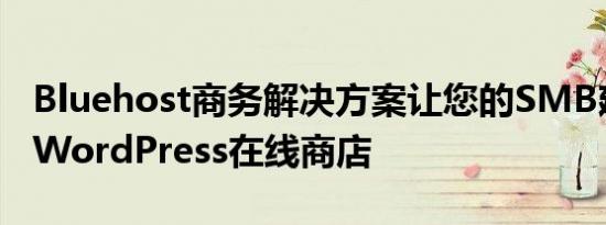 Bluehost商务解决方案让您的SMB建立一个WordPress在线商店