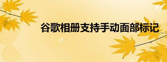 谷歌相册支持手动面部标记