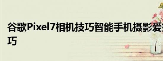 谷歌Pixel7相机技巧智能手机摄影爱好者的技巧