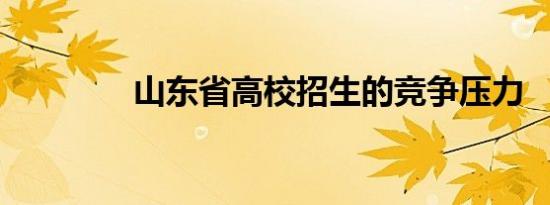 山东省高校招生的竞争压力