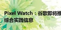 Pixel Watch：谷歌即将推出的可穿戴设备的综合实践信息