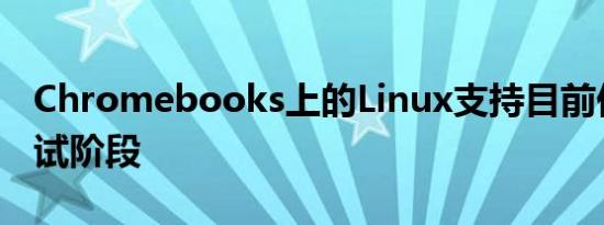 Chromebooks上的Linux支持目前仍处于测试阶段