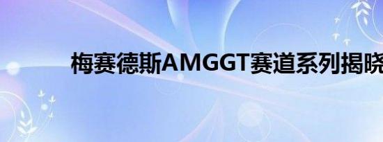 梅赛德斯AMGGT赛道系列揭晓