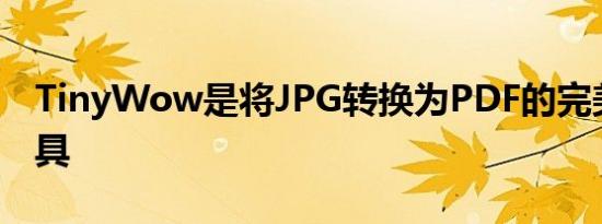 TinyWow是将JPG转换为PDF的完美图片工具