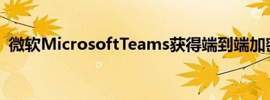 微软MicrosoftTeams获得端到端加密支持