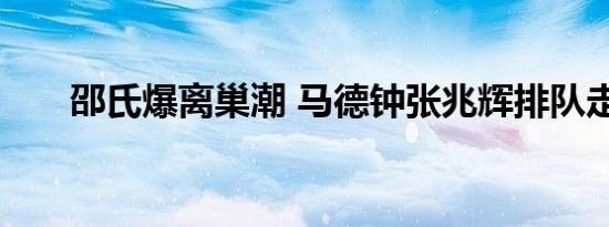 邵氏爆离巢潮 马德钟张兆辉排队走人