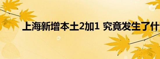 上海新增本土2加1 究竟发生了什么