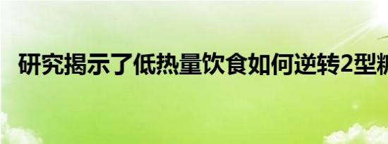 研究揭示了低热量饮食如何逆转2型糖尿病