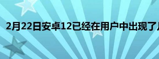 2月22日安卓12已经在用户中出现了几个月